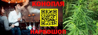 шишки Тара
