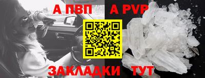 шишки Тара