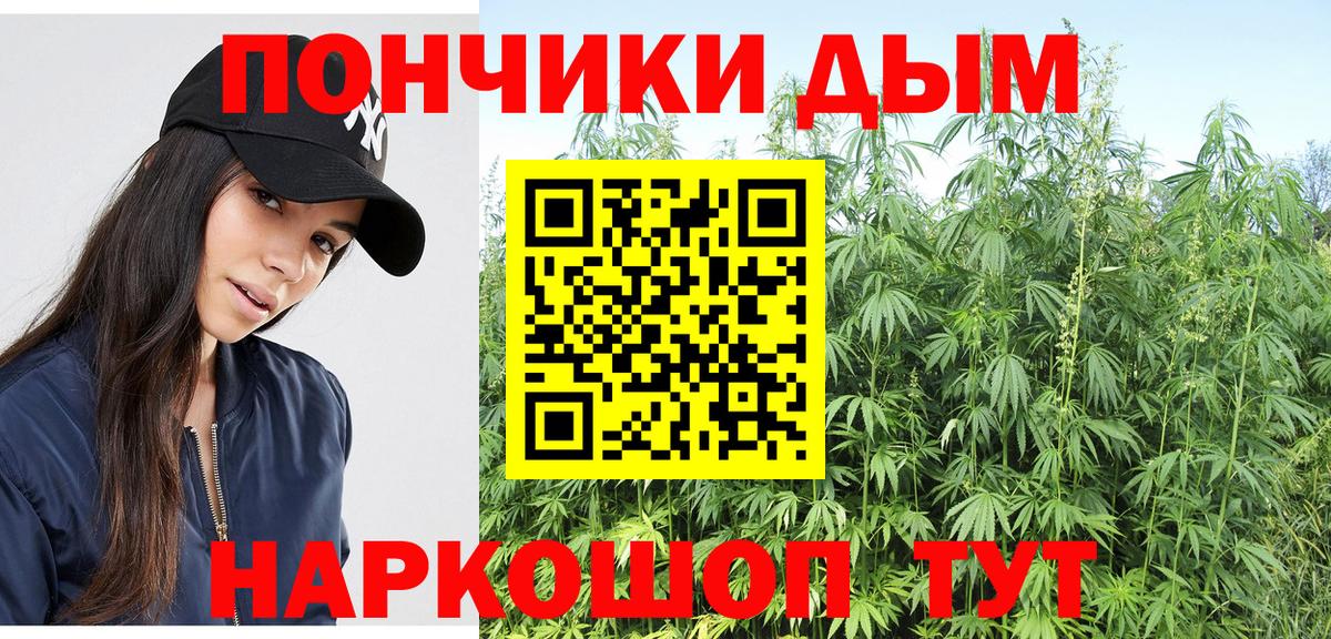 Бошки Шишки планчик Омск